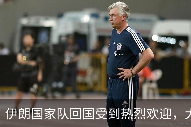 伊朗国家队回国受到热烈欢迎，大批球迷接机