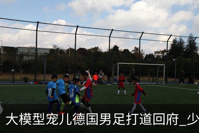 大模型宠儿德国男足打道回府 少了人性观察数据等于废纸